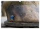 Thumbnail-10