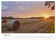 Thumbnail-10