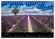 Thumbnail-11
