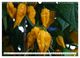 Thumbnail-10