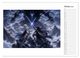 Thumbnail-11