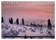 Thumbnail-8