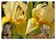 Thumbnail-9