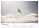 Thumbnail-13