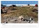 Thumbnail-12