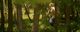 Thumbnail-9