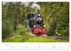 Thumbnail-9
