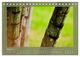 Thumbnail-9