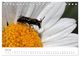 Thumbnail-12