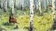 Thumbnail-3