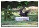 Thumbnail-10