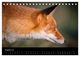 Thumbnail-10