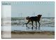Thumbnail-14