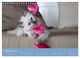 Thumbnail-11