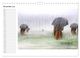 Thumbnail-13