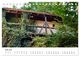 Thumbnail-12