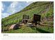 Thumbnail-10