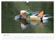 Thumbnail-11