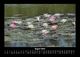 Thumbnail-12