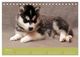 Thumbnail-12