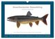 Thumbnail-9