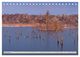 Thumbnail-14