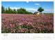 Thumbnail-12