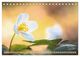 Thumbnail-9