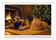 Thumbnail-14