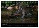 Thumbnail-12