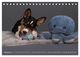 Thumbnail-7