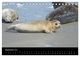 Thumbnail-14