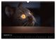 Thumbnail-11