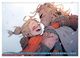 Thumbnail-14