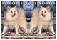 Thumbnail-8