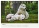 Thumbnail-10