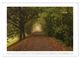 Thumbnail-11