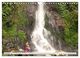 Thumbnail-14