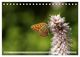 Thumbnail-11