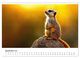 Thumbnail-14