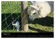 Thumbnail-13