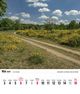 Thumbnail-8
