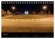 Thumbnail-12