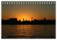 Thumbnail-13