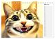 Thumbnail-8