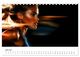 Thumbnail-11