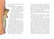 Thumbnail-3