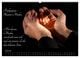Thumbnail-11