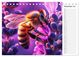 Thumbnail-14