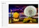 Thumbnail-10